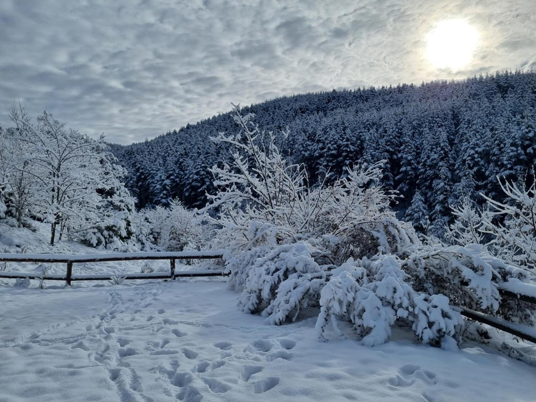 Панорама Хаус Лещен И Еко Къщи Дървена И Землянка Exterior foto
