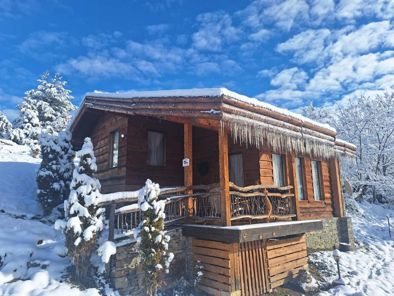 Панорама Хаус Лещен И Еко Къщи Дървена И Землянка Exterior foto