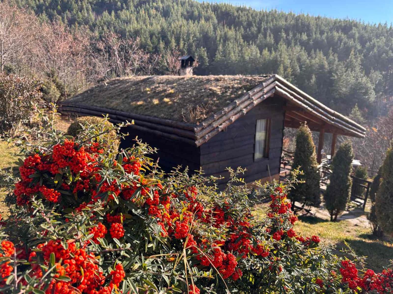 Панорама Хаус Лещен И Еко Къщи Дървена И Землянка Exterior foto