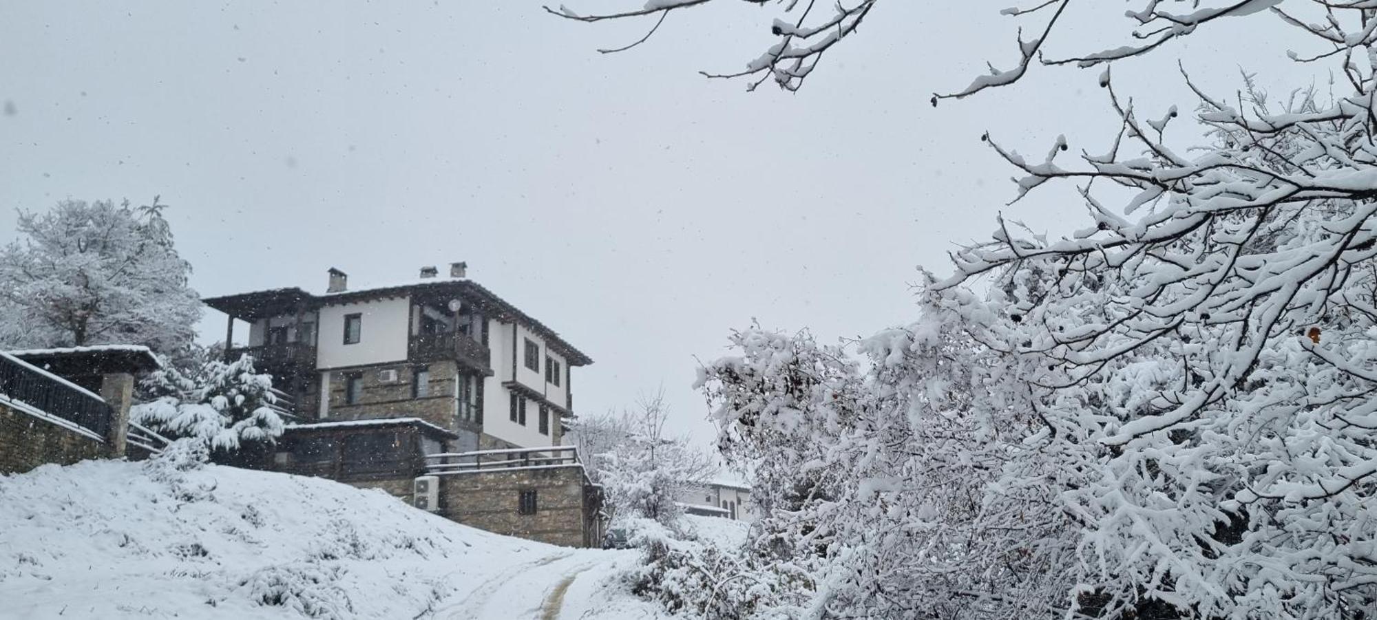 Панорама Хаус Лещен И Еко Къщи Дървена И Землянка Exterior foto