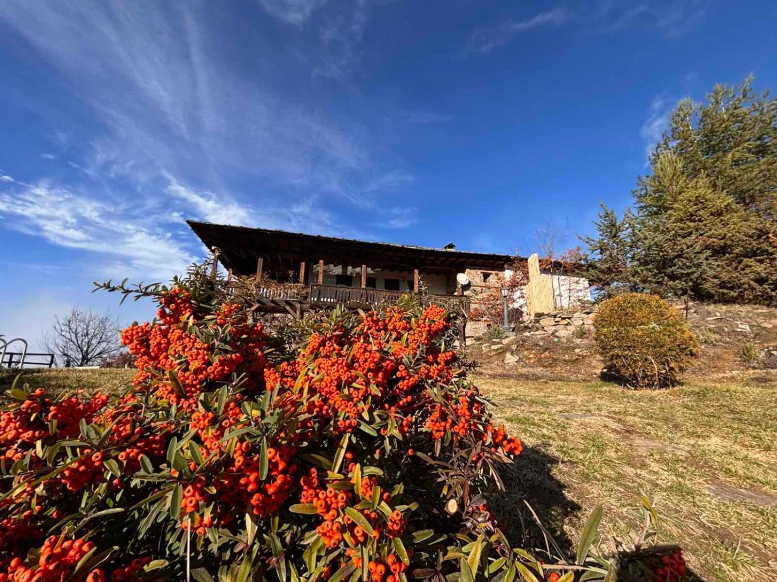 Панорама Хаус Лещен И Еко Къщи Дървена И Землянка Exterior foto